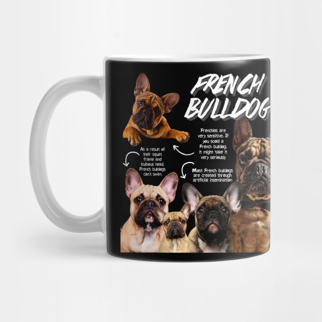 French Bulldog fun Facts by Animal Facts and Trivias